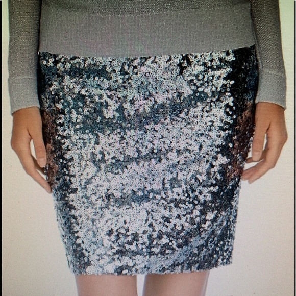 White House Black Market Dresses & Skirts - ⬇️WHITE HOUSE BLACK MARKET SRQUIN SKIRT SIZE 4 NWT